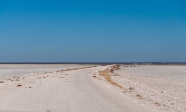 Etosha Tuz Tava