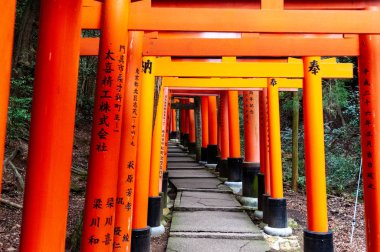 Kyoto 'daki Fushimi Inari Yolu