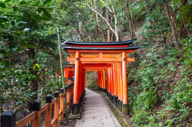 Kyoto 'daki Fushimi Inari Yolu