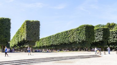Paris, Fransa, 9 Temmuz 2016 tarihinde. Lüksemburg bahçesinde bir gölet yakınında pitoresk bir köşe, vatandaşların ve turistlerin favori tatil yeri