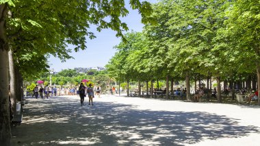 Paris, Fransa, 9 Temmuz 2016 tarihinde. Lüksemburg bahçesinde bir gölet yakınında pitoresk bir köşe, vatandaşların ve turistlerin favori tatil yeri