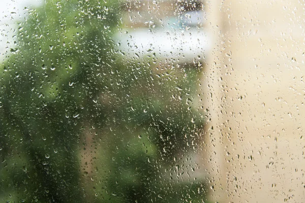 View from the window during a rain. Focus on drops on glass. — Stock Photo, Image