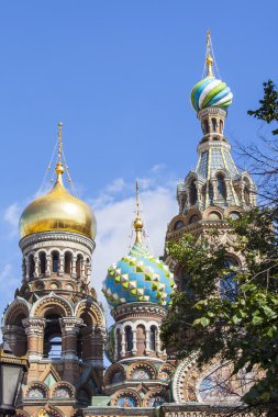 St Petersburg, Rusya, üzerinde 21 Ağustos 2016. Kan, bir şehir sembolleri üzerinde Kurtarıcı Kilisesi parçası