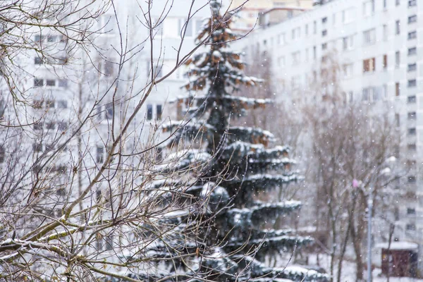 Pushkino, Ryssland, den 16 November 2016. Vinter urban Visa. Träd mot bakgrund av staden arkitektur — Stockfoto