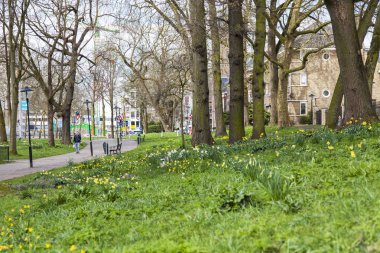  Utrecht, Hollanda, 30 Mart 2016 üzerinde. Bahar manzara. Şehir Park avenue