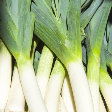 Pırasa gösterisi penceresinde Shop