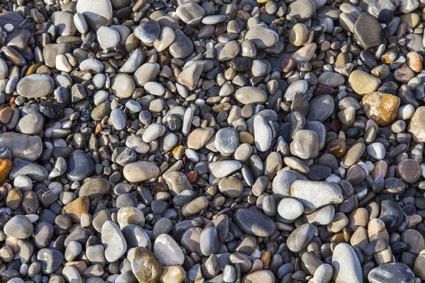 海の小石のテクスチャ — ストック写真