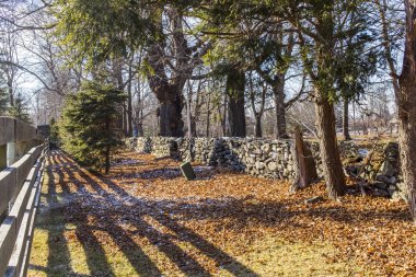 Sonbahar yol kenarı manzara