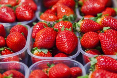 Lezzetli çilek kutularındaki şeffaf bir gösteri pencere Shop