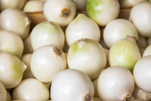 Fresh white onions on a market counter