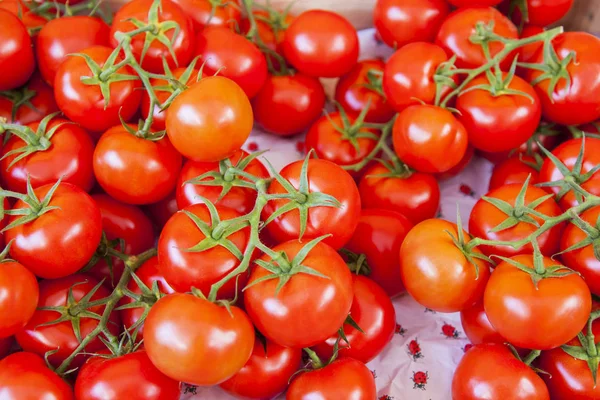 Čerstvé zralé rajčata na trhu čítač — Stock fotografie