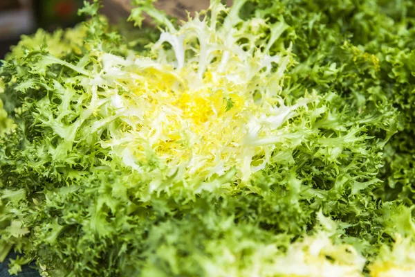 Bunch of leaves of fresh red salad on the market counter — Stock Photo, Image