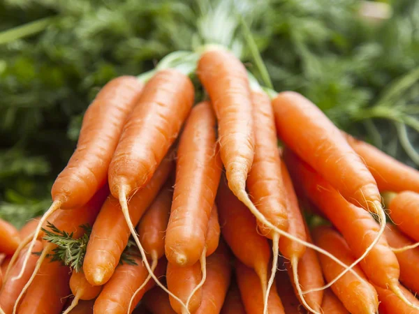 Bouquet de carottes fraîches savoureuses sur un comptoir de magasin — Photo