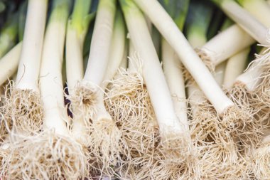 Dükkanın bir sayaçta lezzetli taze soğan