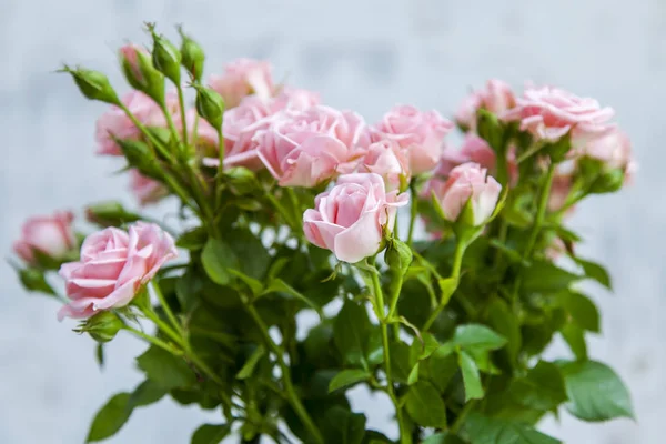 Bouquet of beautiful pink roses — Stock Photo, Image