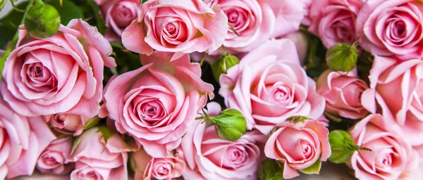 Bouquet de belles roses roses — Photo