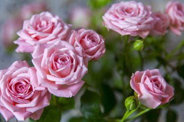 Bir tabloda bir kristal cam meyve güler yüzlü