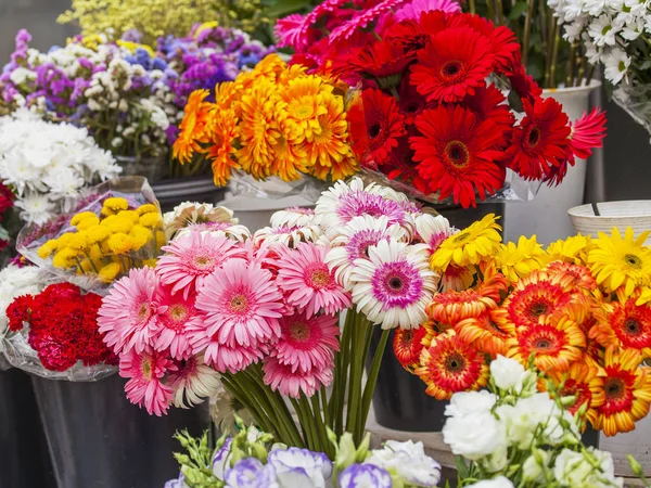 Bouquet di bellissimo gerbero — Foto Stock
