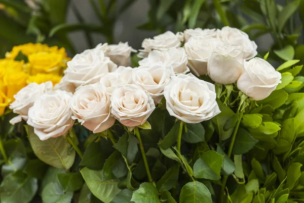 Bouquet of fine roses — Stock Photo, Image