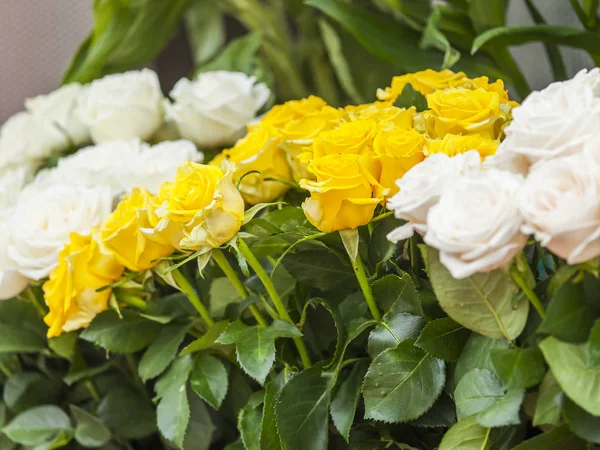 Bouquet of fine roses — Stock Photo, Image