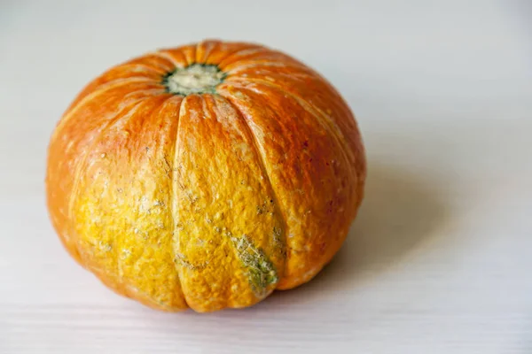 Свіжий апельсиновий гарбуз на столі — стокове фото