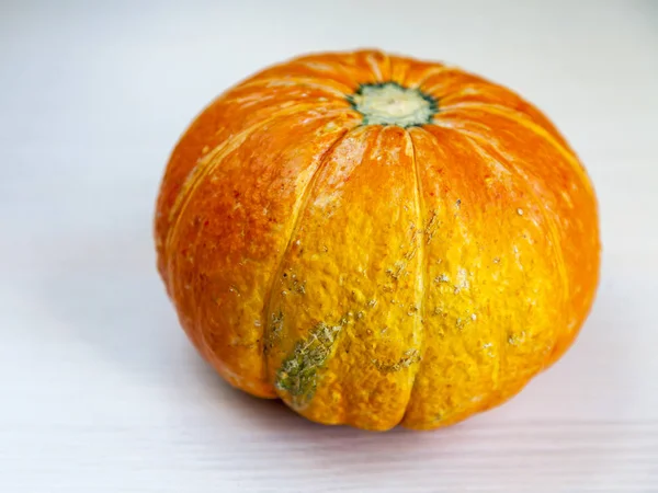 Fresh orange pumpkin on a table — Stock Photo, Image
