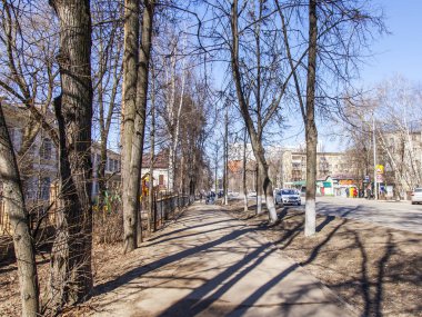 Pushkino, Rusya, üzerinde 25 Şubat 2017. Yaşlı ağaçların şehrin mimari görünümünü bir parçasıdır. Şehir merkezindeki Mosksvskiy Caddesi güneşli bahar günü