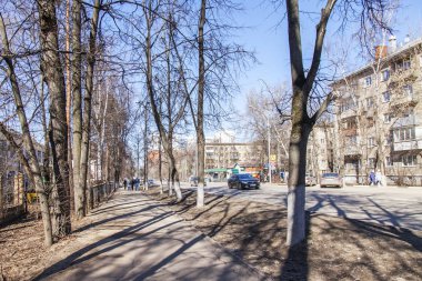 Pushkino, Rusya, üzerinde 25 Şubat 2017. Yaşlı ağaçların şehrin mimari görünümünü bir parçasıdır. Şehir merkezindeki Mosksvskiy Caddesi güneşli bahar günü