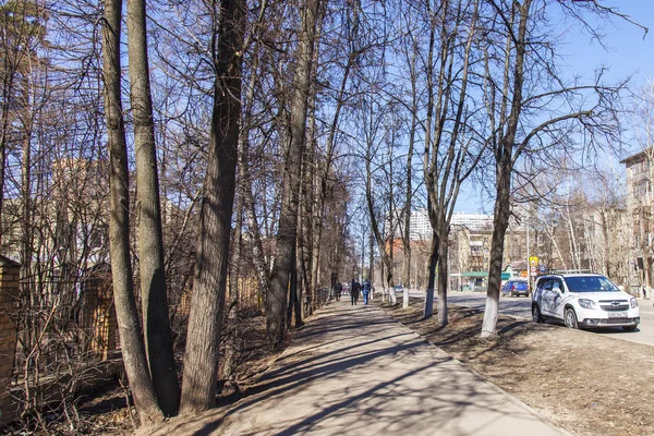 Poesjkino, Rusland, op 25 maart, 2017. Oude bomen zijn een onderdeel van architectonische uitstraling van de stad. Zonnige lentedag op Moskovsky Avenue in de binnenstad — Stockfoto