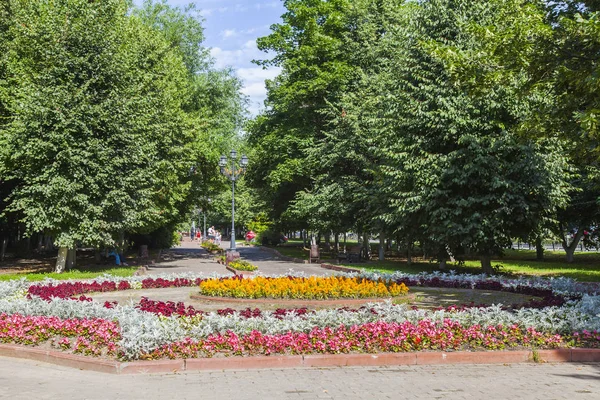 Pushkino, Rusya, 7 Ağustos 2017. İnsanlar güzel Bulvarı eski ağaçların altında birlikte gitmek