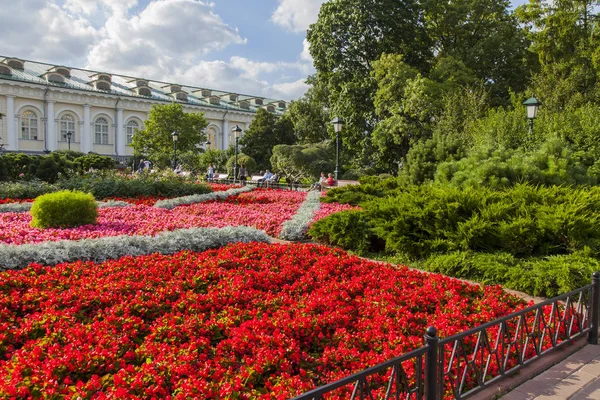 MOSCÚ, RUSIA, 10 de agosto de 2017. El hermoso césped se rompe en Aleksandrovsk a un jardín en el centro cerca de la pared del Kremlin — Foto de Stock