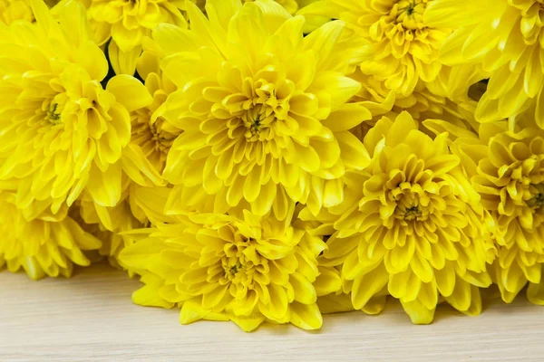Bouquet de chrysanthèmes jaune vif — Photo