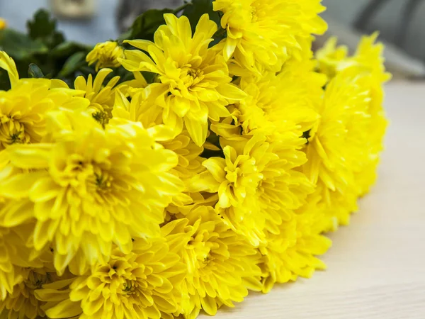 Ramo de crisantemos de color amarillo brillante — Foto de Stock