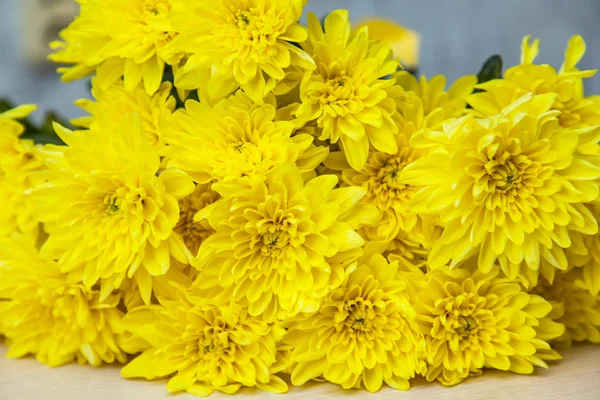 Bukett av ljusa gula krysantemum — Stockfoto