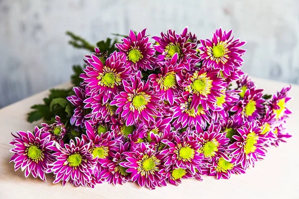 Unión de crisantemos rosados brillantes —  Fotos de Stock
