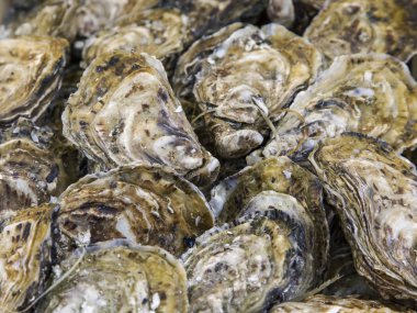Taze deniz ürünleri dükkanı bir tezgahın üzerine koyulur ve alıcılar için bekleyin
