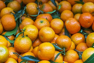 Taze mandalina dükkanı bir tezgahın üzerine koyulur