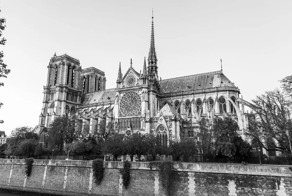 PARIS, FRANCE, le 27 octobre 2017. Vue de la cathédrale Notre Dame de Paris et du remblai de la rivière Seong — Photo