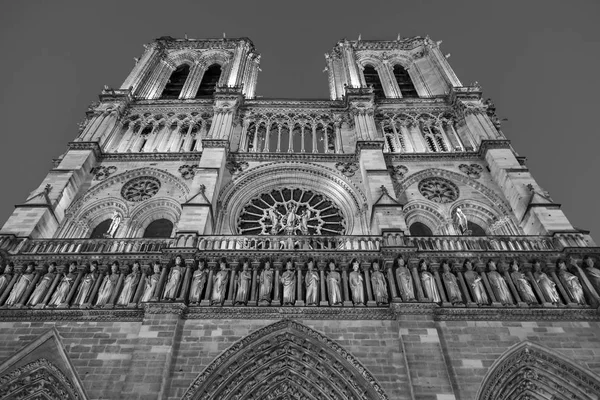 PARIGI, FRANCIA, il 27 ottobre 2017. Illuminazione notturna illumina una facciata della cattedrale Notre Dame de Paris, che è uno dei simboli della città — Foto Stock