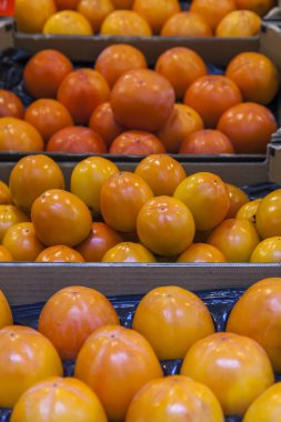 Taze hurma dükkanı bir tezgahın üzerine dışarı atılır