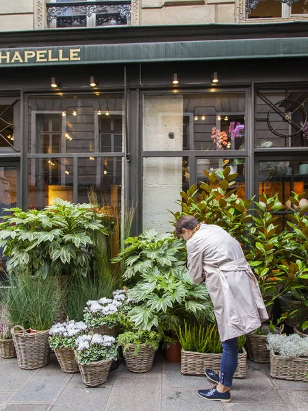 Paříž Francie Října 2017 Různé Rostliny Kytičky Jsou Nabízeny Prodeji — Stock fotografie