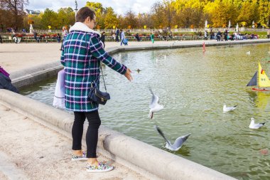 Paris, Fransa, üzerinde 30 Ekim 2017. Sonbahar şehir manzarası. Çekici genç kadın Lüksemburg Bahçesi Gölde ördekler beslemeleri