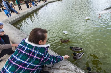 Paris, Fransa, üzerinde 30 Ekim 2017. Sonbahar şehir manzarası. Çekici genç kadın Lüksemburg Bahçesi Gölde ördekler beslemeleri