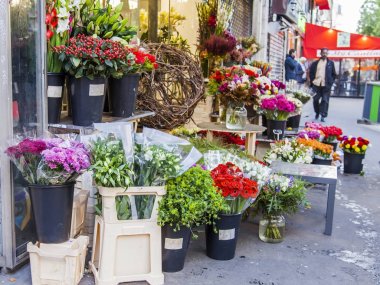 Paris, Fransa, üzerinde 30 Ekim 2017. Çeşitli buketleri sokak gösterisi penceresinde çiçek Shop alıcılar katılımı için maruz kalmaktadır