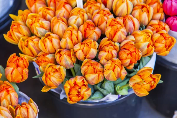 Talrijke Heldere Tulpen Een Etalage Van Winkel — Stockfoto
