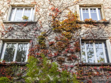 Paris, Fransa, üzerinde 31 Ekim 2017. Güneş ışıkları eski bina cephe a Montmartre yabani üzüm twined