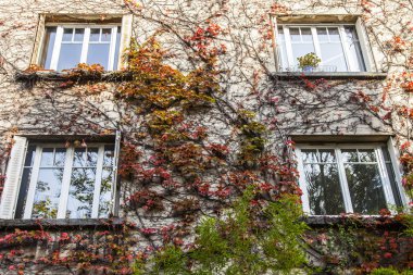 Paris, Fransa, üzerinde 31 Ekim 2017. Güneş ışıkları eski bina cephe a Montmartre yabani üzüm twined