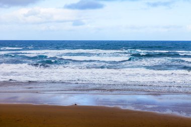 Bir sörf üzerinde sahil kum plajındaki pitoresk hattı