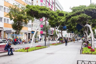 Las Palmas de Gran Canaria, İspanya, 5 Ocak 2018 üzerinde. Şehir merkezindeki eski ağaçlar güzel Caddesi