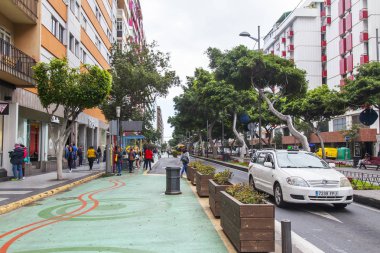 Las Palmas de Gran Canaria, İspanya, 5 Ocak 2018 üzerinde. Şehir merkezindeki eski ağaçlar güzel Caddesi